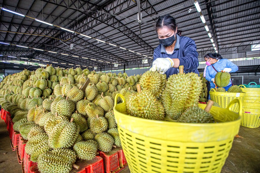 China, Thailand to build community with shared future for enhanced stability, prosperity, sustainability