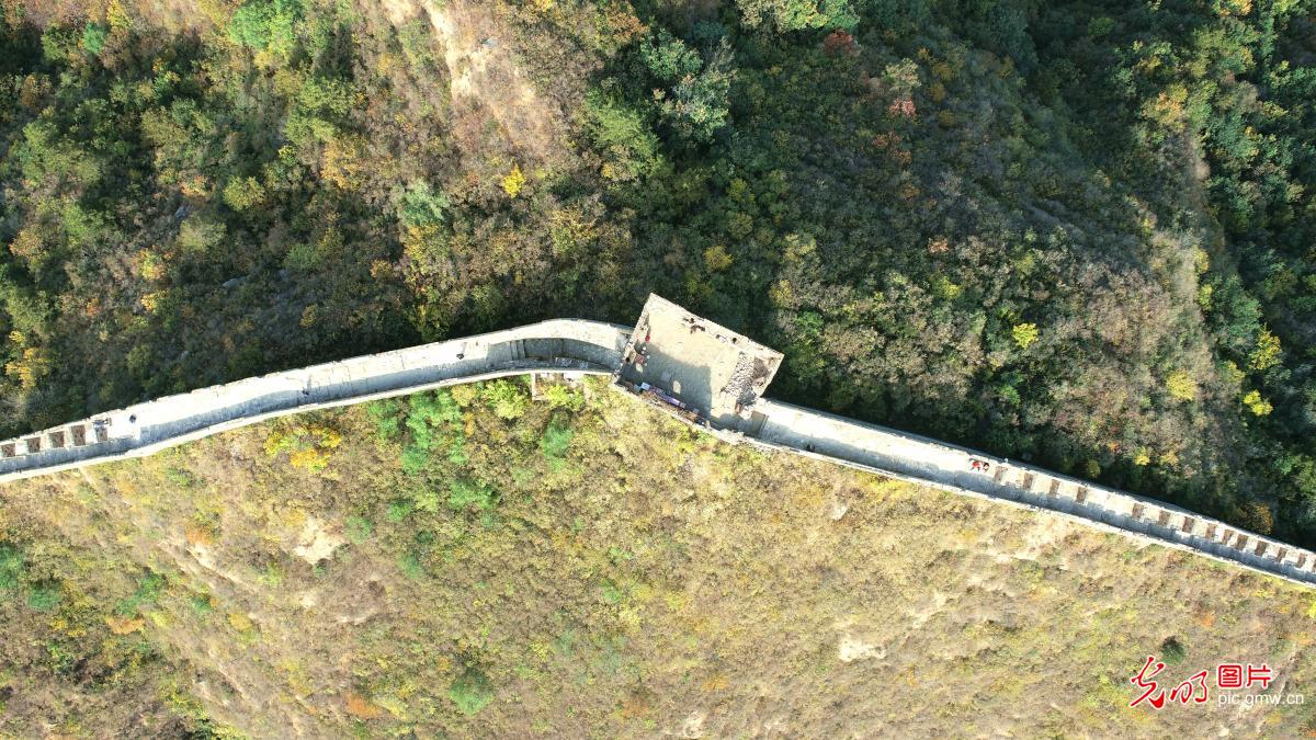 Luanping County of N China’s Hebei: Autumn colors in full swing at Jinshanling Great Wall