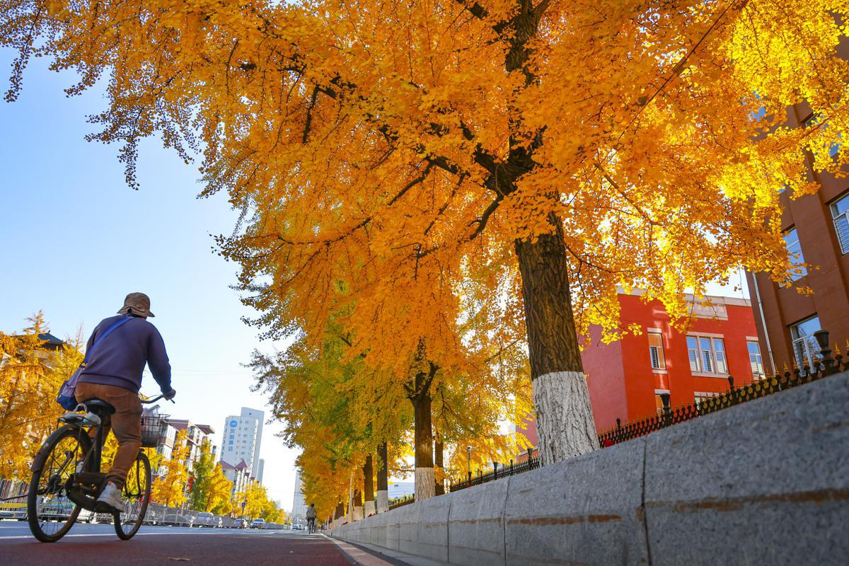 A fairy-tale autumn unfolds in Liaoning