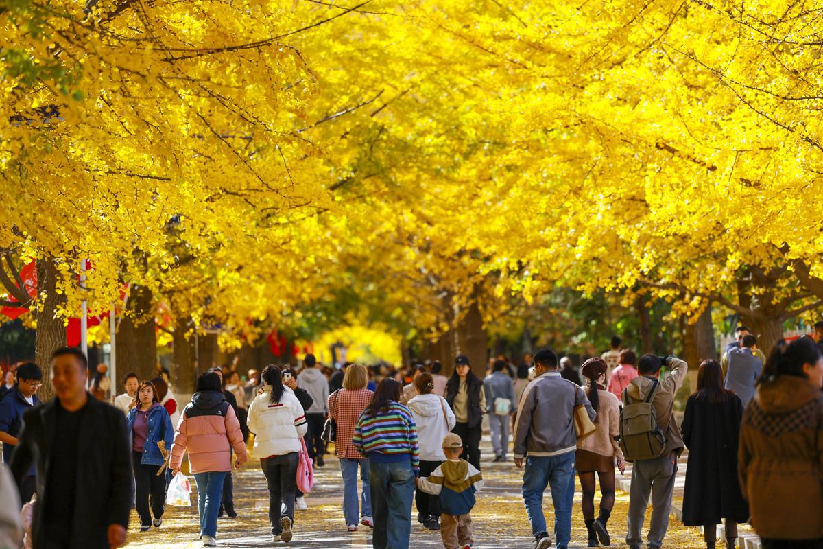 A fairy-tale autumn unfolds in Liaoning