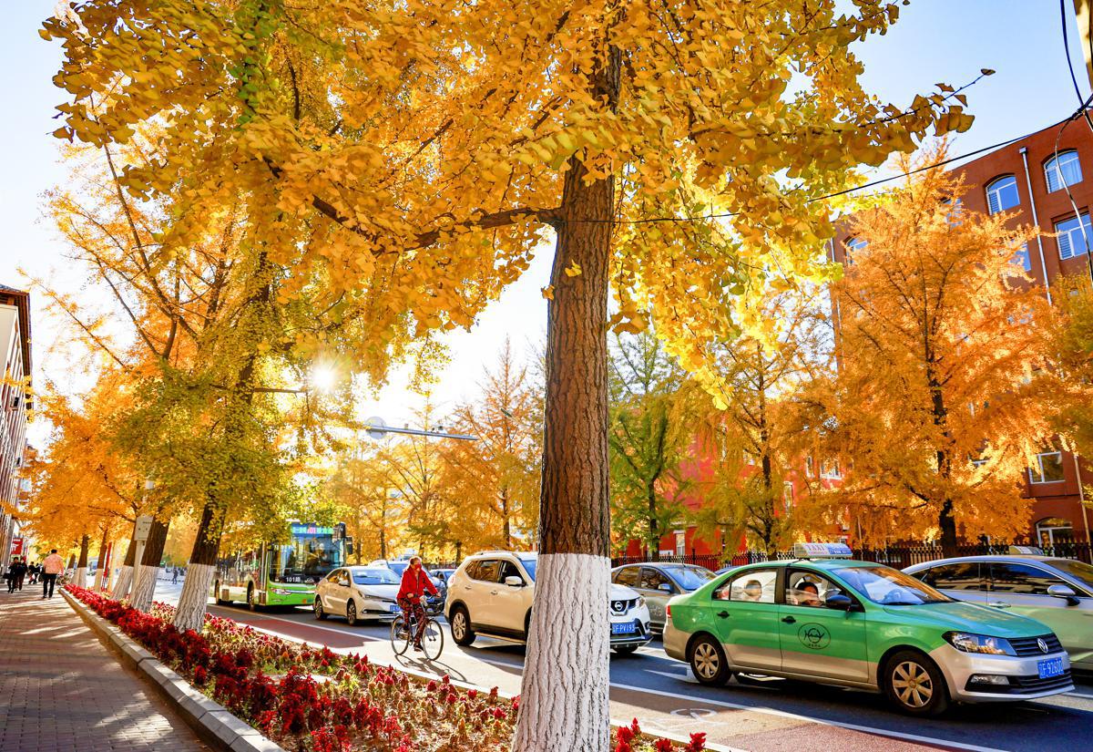A fairy-tale autumn unfolds in Liaoning