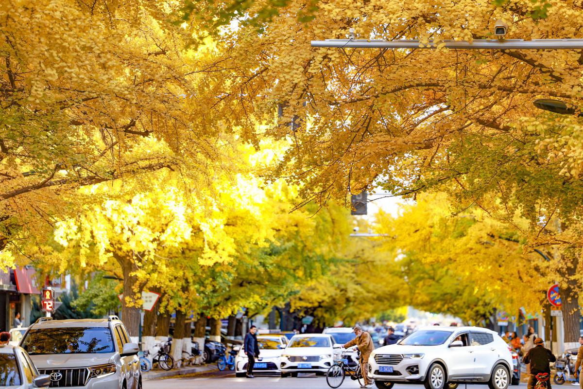 A fairy-tale autumn unfolds in Liaoning