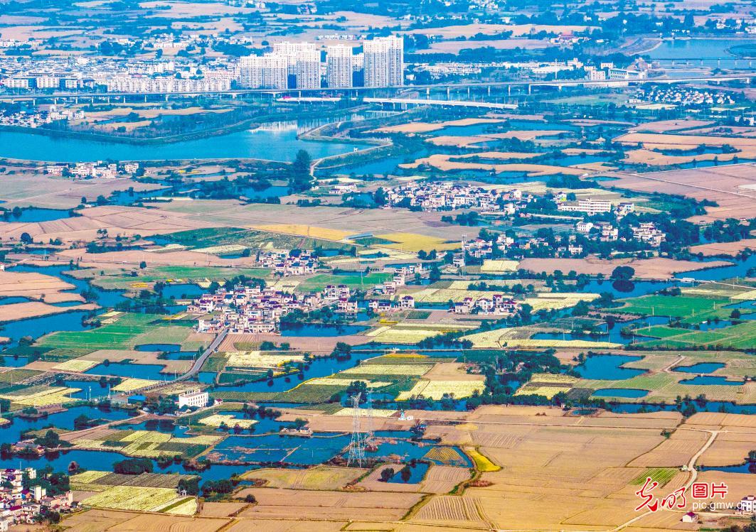 Picturesque countryside scenery in golden autumn