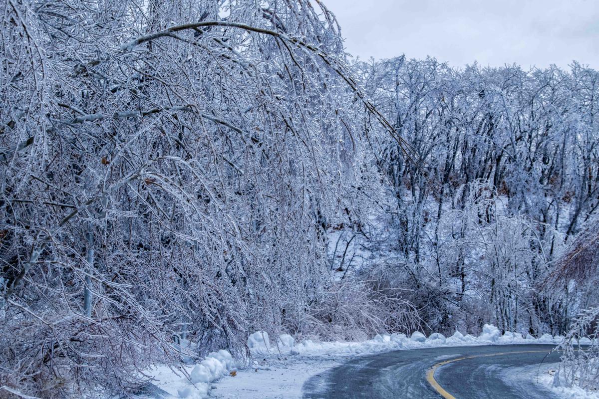 Rain in Heilongjiang creates winter wonderland