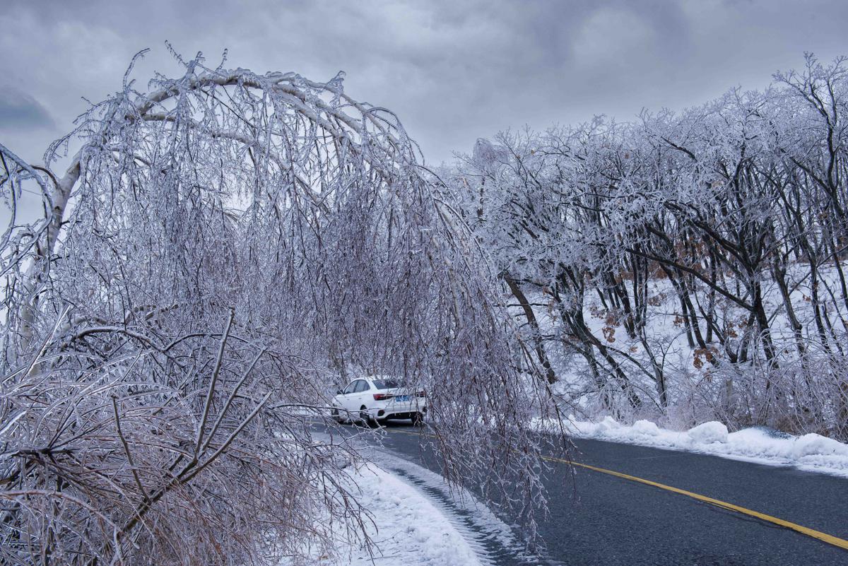 Rain in Heilongjiang creates winter wonderland