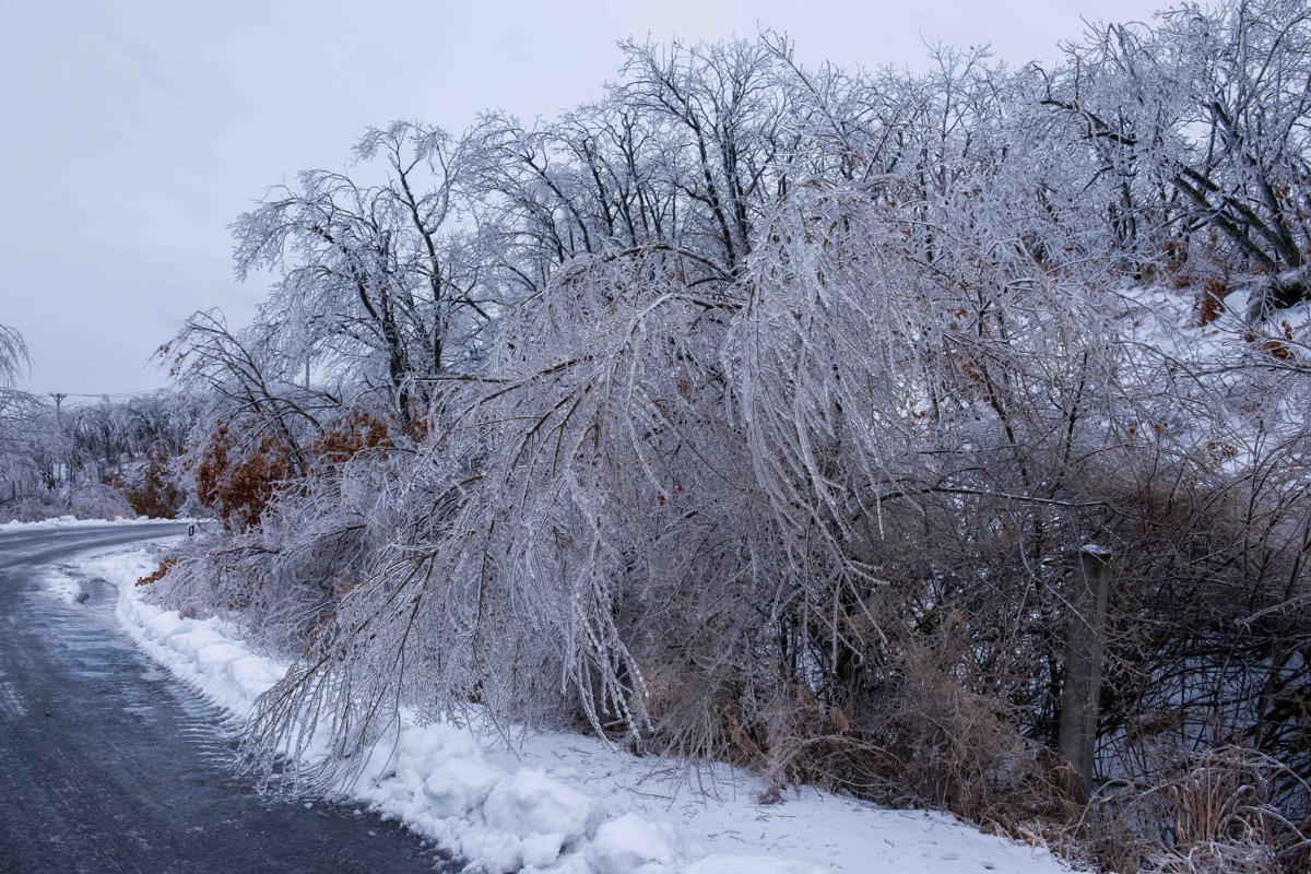 Rain in Heilongjiang creates winter wonderland