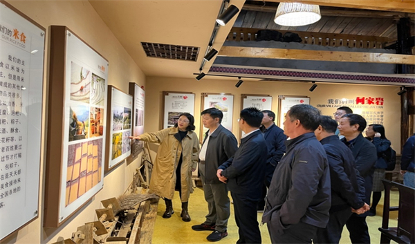 郑功成带队赴重庆酉阳开展共富乡村建设专题调研