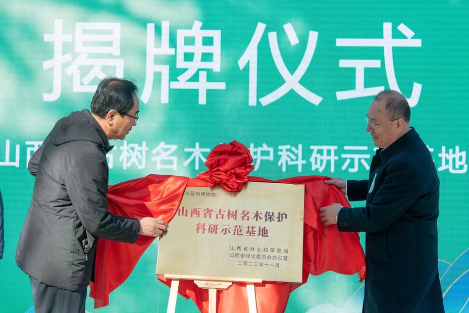 Launch Ceremony Held at Jinci Museum for 2023 Shanxi Ancient and Famous Trees Protection Week