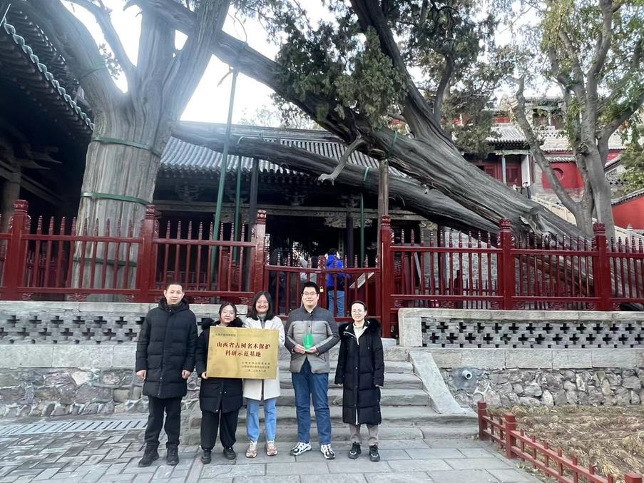Launch Ceremony Held at Jinci Museum for 2023 Shanxi Ancient and Famous Trees Protection Week
