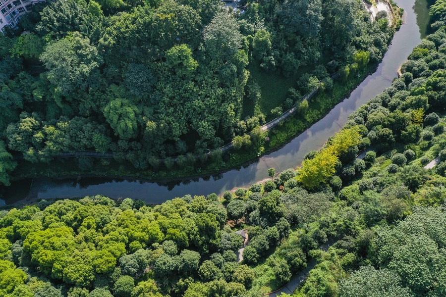 InPics: Environmental remediation of Panxi River pays off in Chongqing
