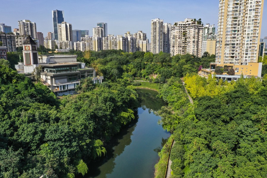 InPics: Environmental remediation of Panxi River pays off in Chongqing