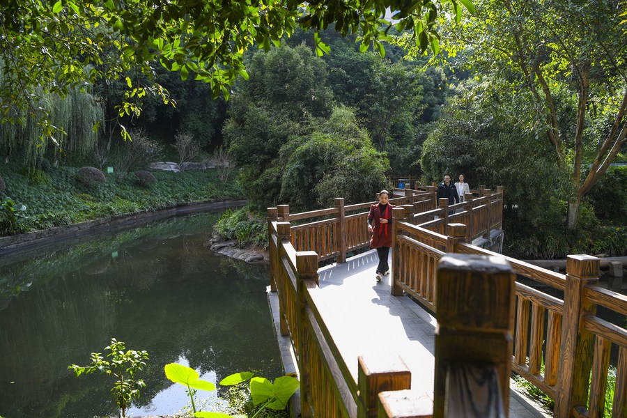 InPics: Environmental remediation of Panxi River pays off in Chongqing