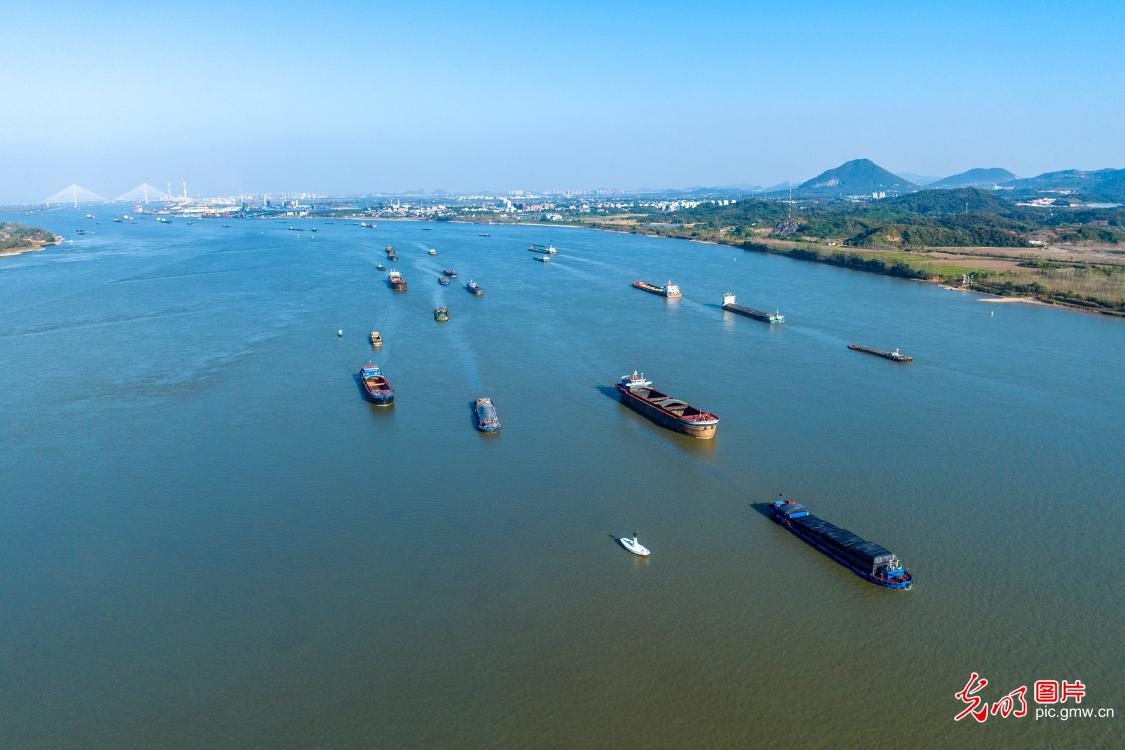 Wuhu City of E China’s Anhui: Yangtze River busy with shipping