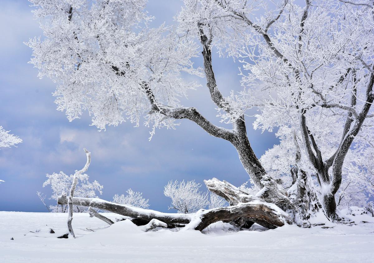 Tourists capture fresh winter snapshots in Jilin