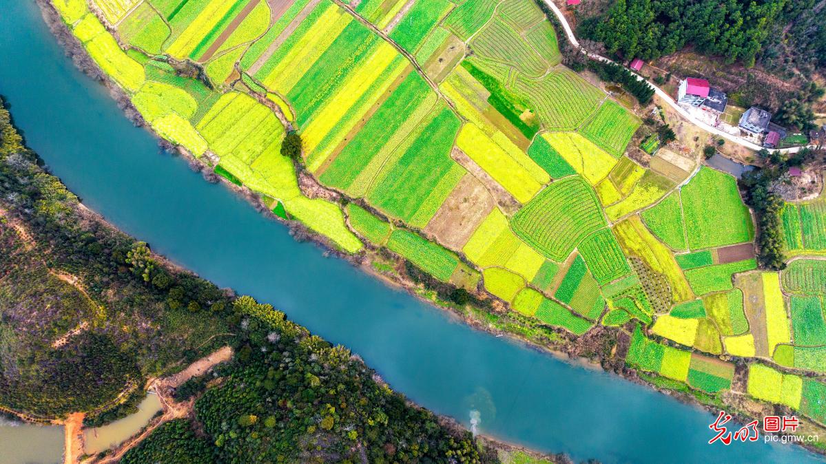 Ji Shui, Jiangxi: Blossoms of Spring in Early Bloom