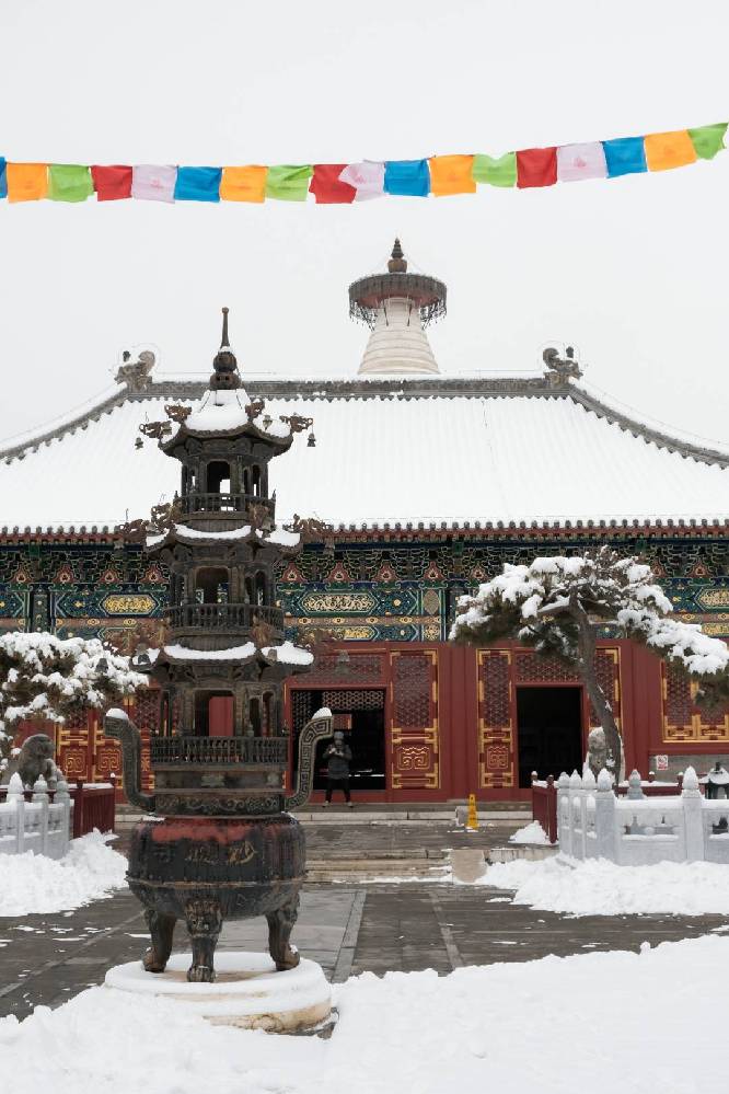 In pics: Citizens visit snow-covered Baita Temple in Beijing