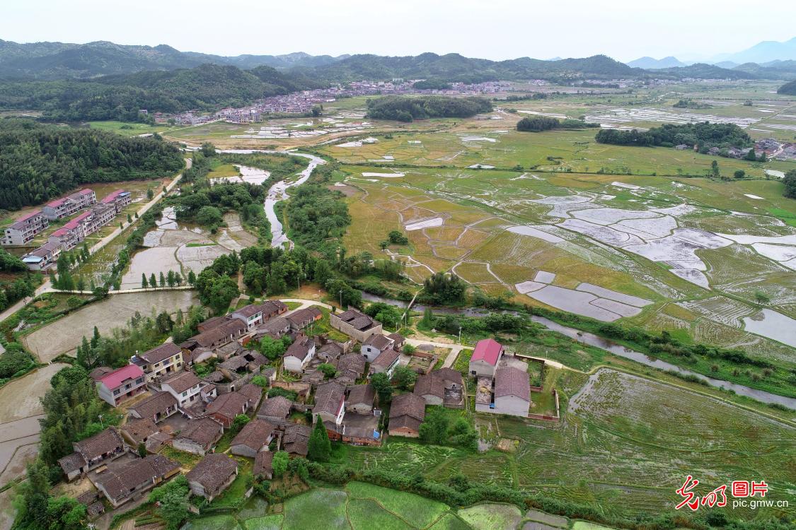 Spring in the air in E China's Jiangxi