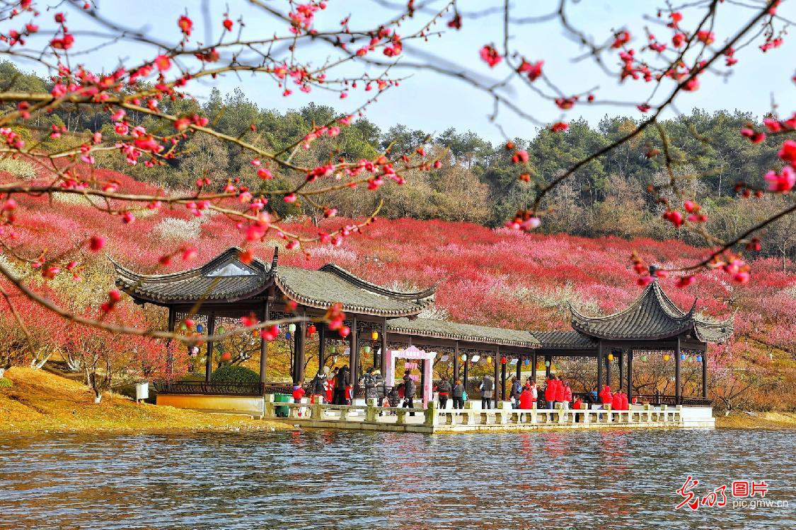 Zhangjiagang City of E China’s Jiangsu: Enjoying flowers in spring