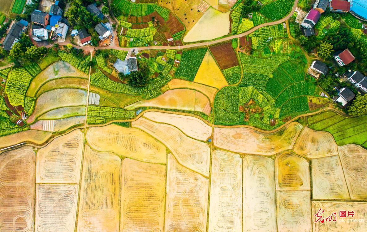 Dianjiang County of SW China’s Chongqing: Picturesque spring image