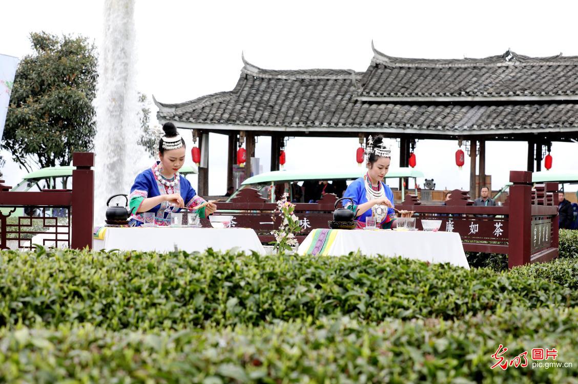 Tea culture events held in S China’s Guangxi