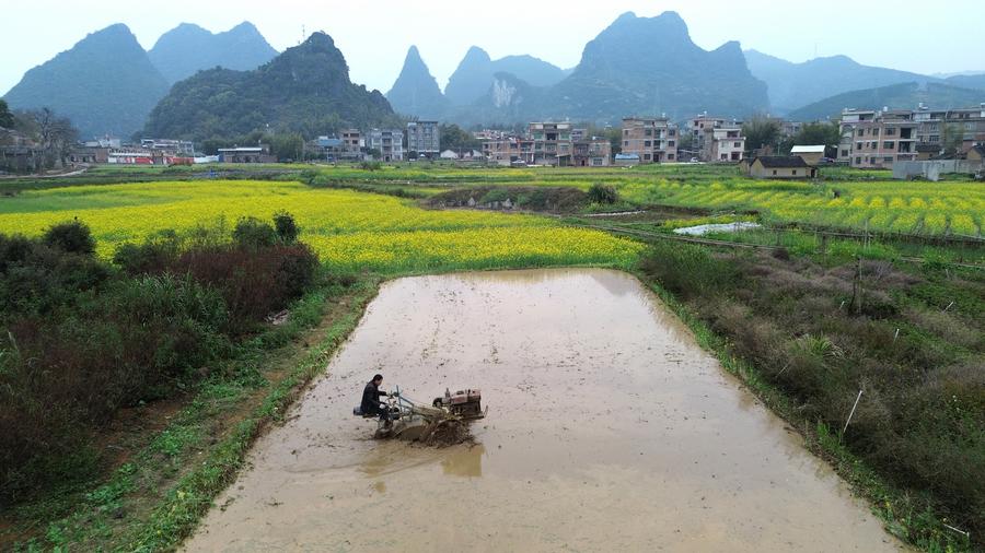 Spring farming is underway in south China's Guangxi