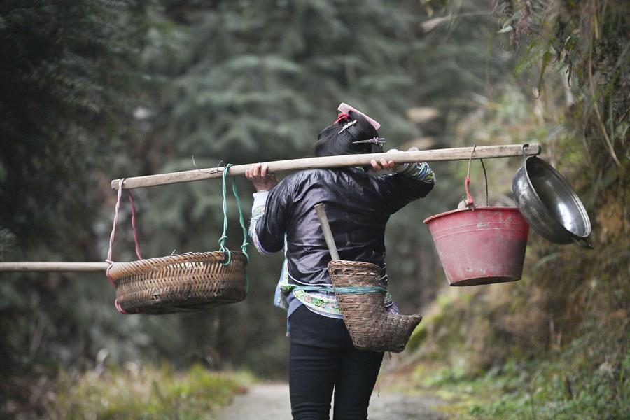 Spring farming is underway in south China's Guangxi