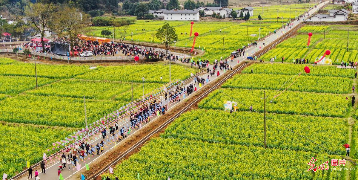 Rapeseed flowers attract viewers