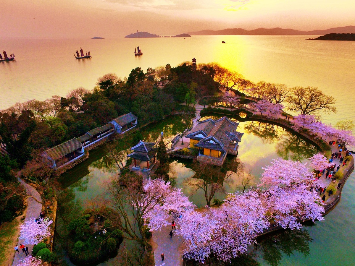 Wuxi's cherry blossom season elevated by helicopter tours and global connections