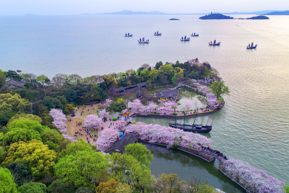 Wuxi's cherry blossom season elevated by helicopter tours and global connections