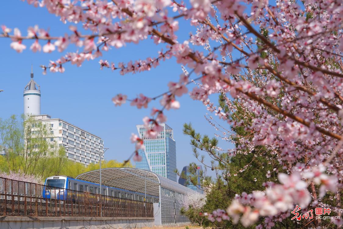 Beijing: “Train to spring” departs