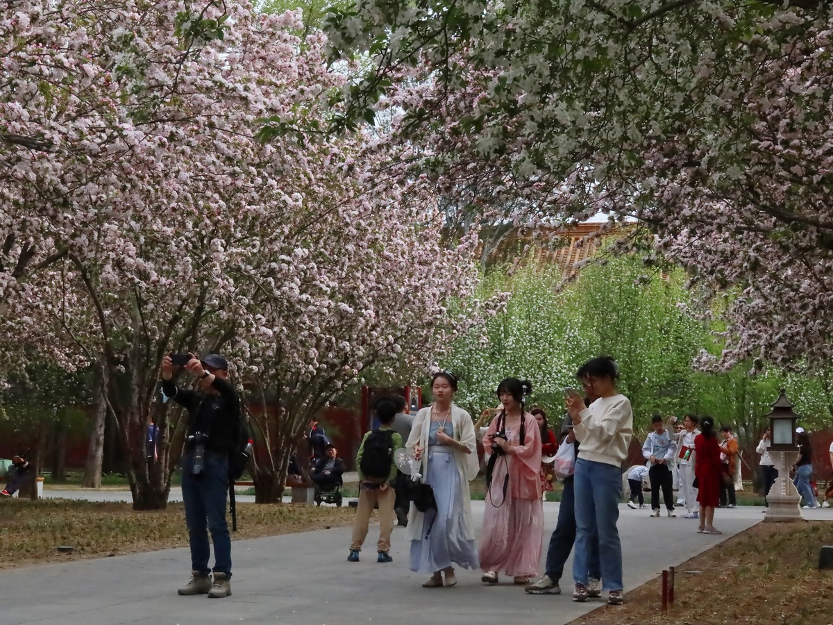 Blooming flowers seen at Palace Museum in Beijing