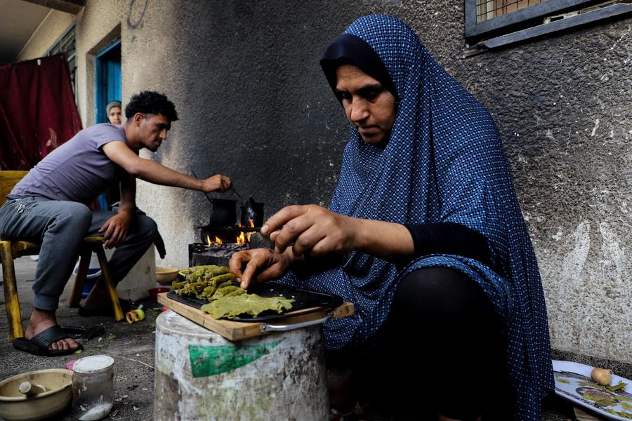 Displaced Gazans burn solid waste for cooking as fuel, shrubs run out