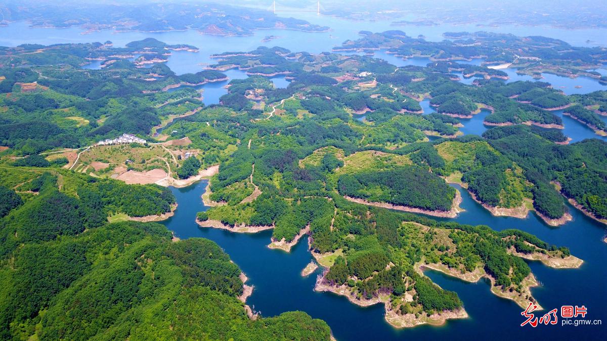 Danjiangkou City in C China’s Hubei: vibrant summer archipelagos