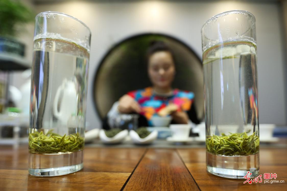 International Tea Day celebrated across China