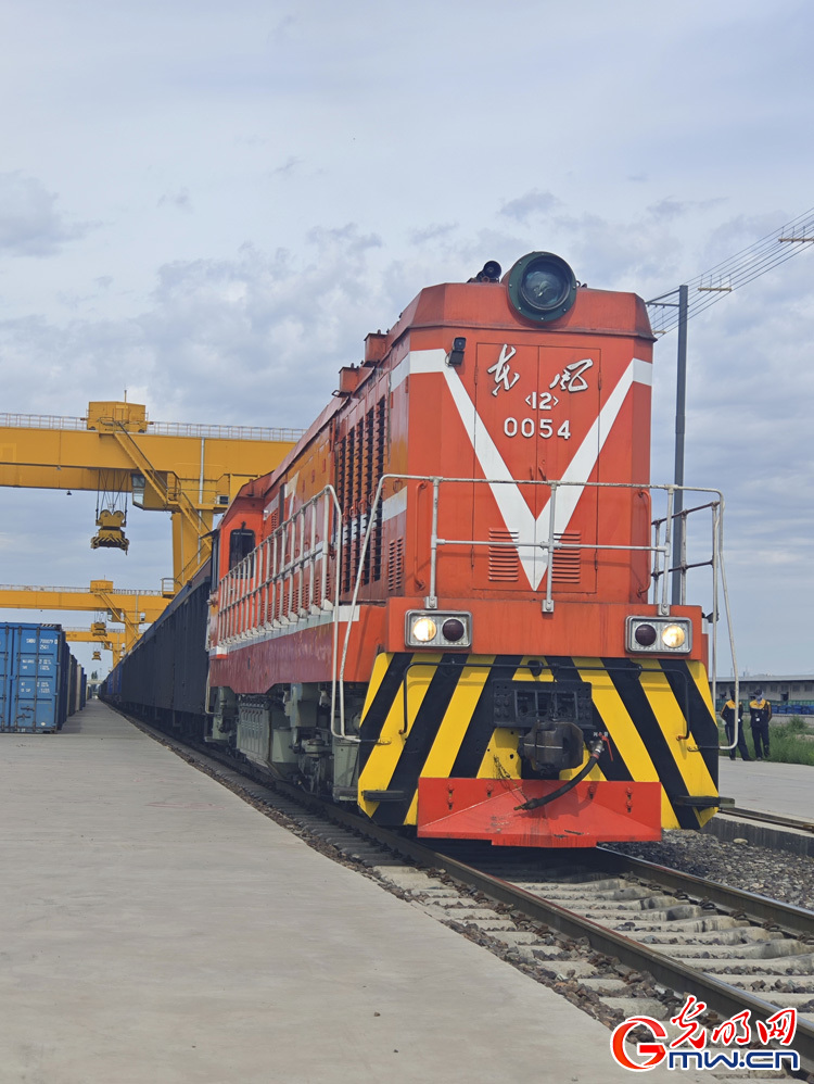 In pics: Horgos Port sees growing vitality as China-Europe freight train services flourish