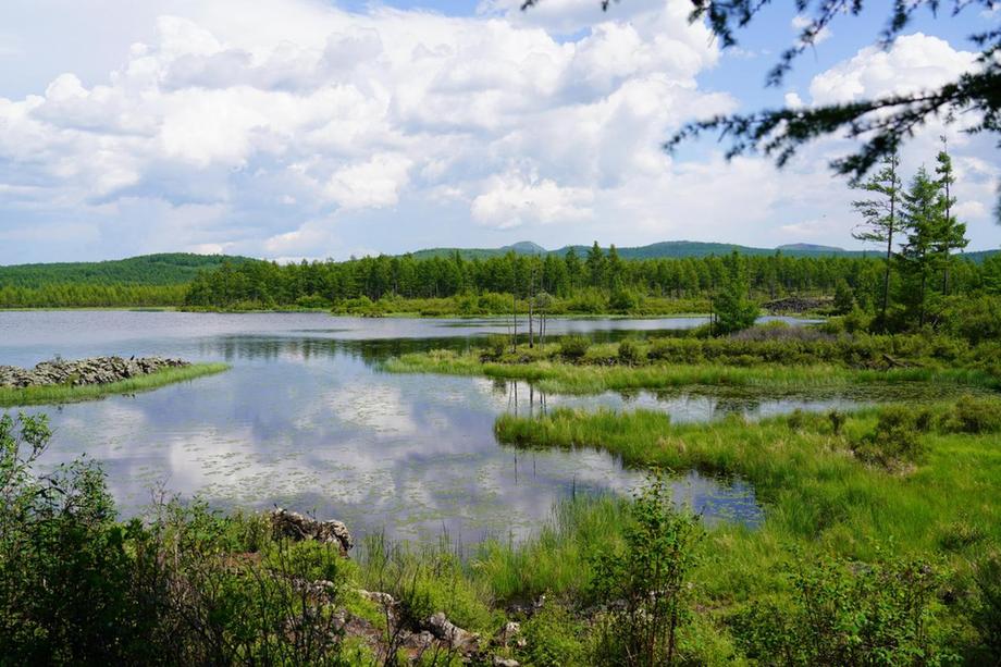 Natural scenery at Azalea Lake in Arxan City, N China's Inner Mongolia