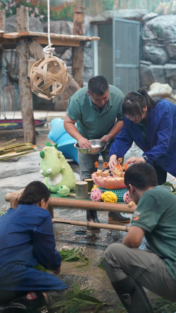 Hubei panda celebrates birthday like a Wuhan local