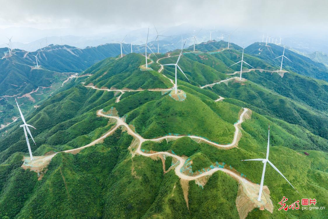 Wind power boosts green transition in SW China's Guangxi