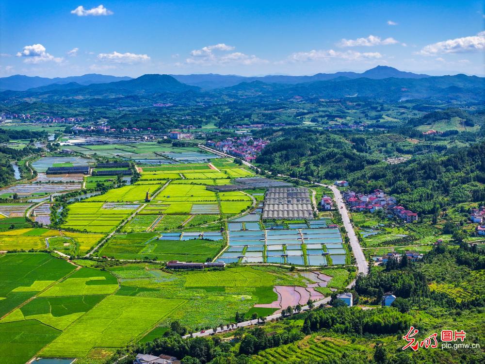 Harmonious and beautiful rural scenery in E China’s Jiangxi