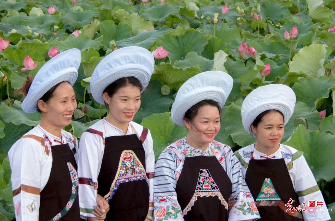 Stunning lotus blossoms across China attract throngs of visitors