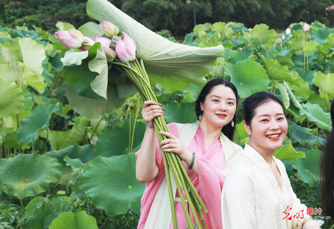 Stunning lotus blossoms across China attract throngs of visitors