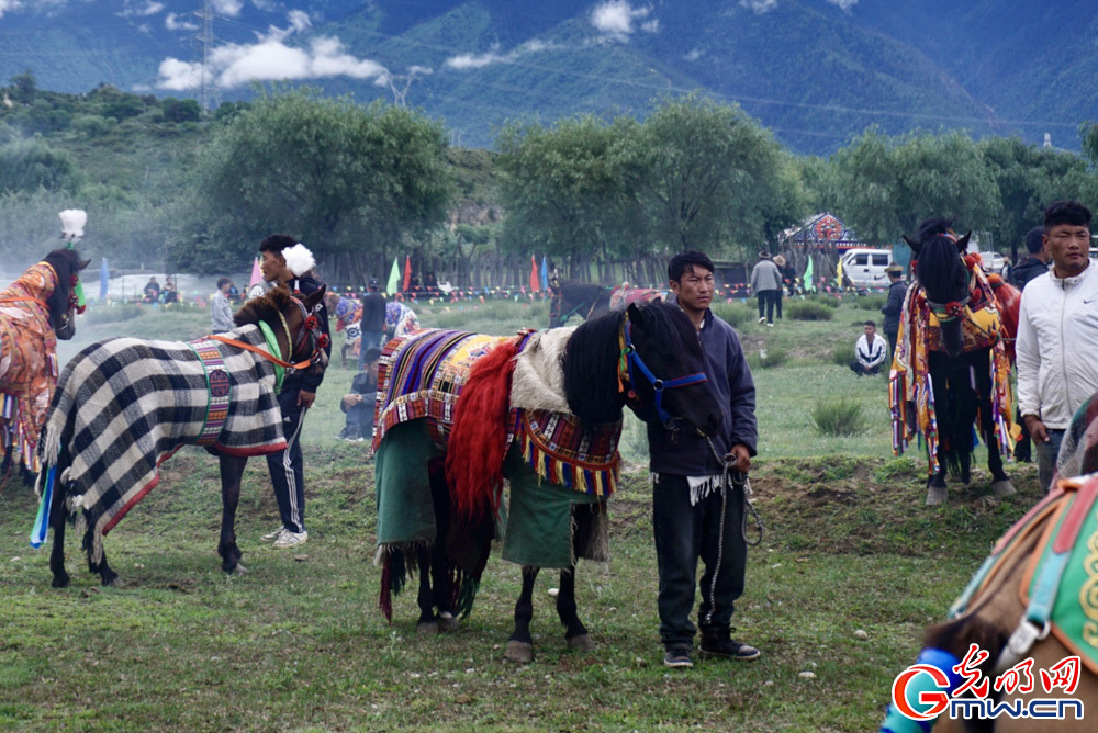 Folk horse racing festival held in Nyingchi celebrating culture, tradition of Xizang