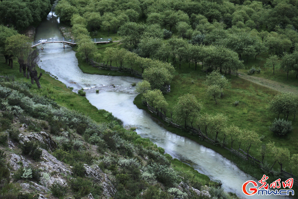 Yani National Wetland Park, shining example of sustainable ecological development