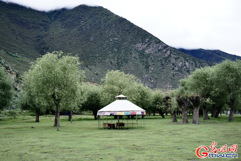 Yani National Wetland Park, shining example of sustainable ecological development