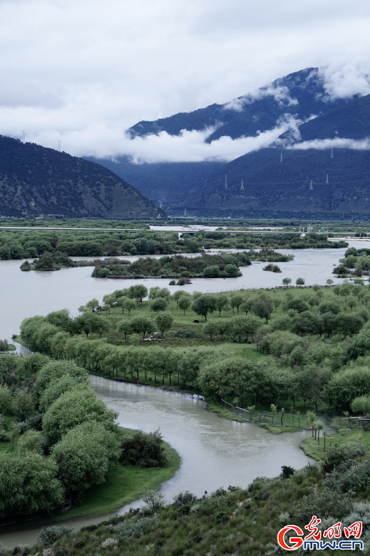 Yani National Wetland Park, shining example of sustainable ecological development