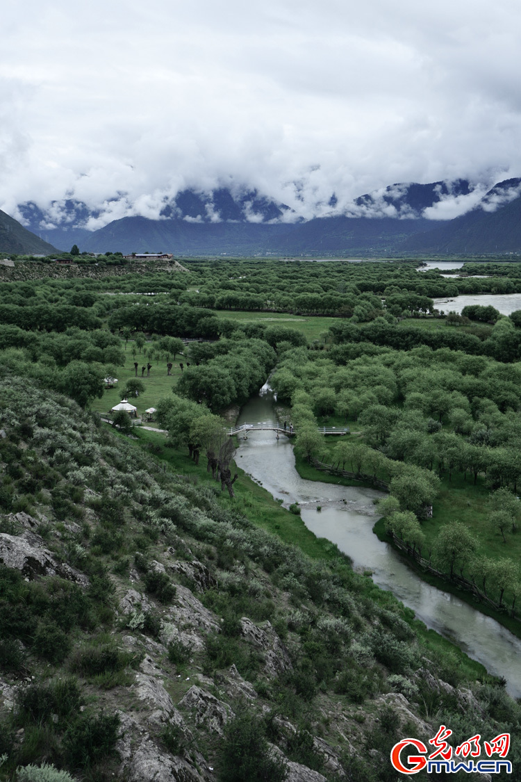 Yani National Wetland Park, shining example of sustainable ecological development