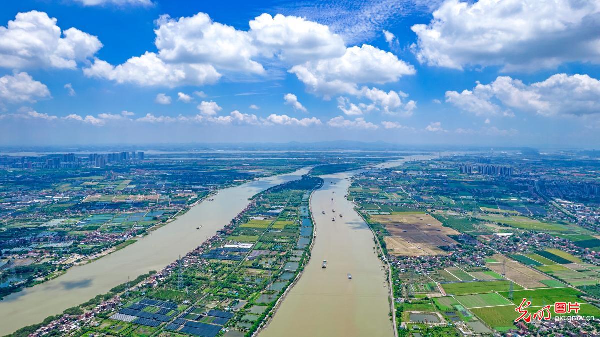 Ecological scenery of Dadasha Island in S China’s Guangdong