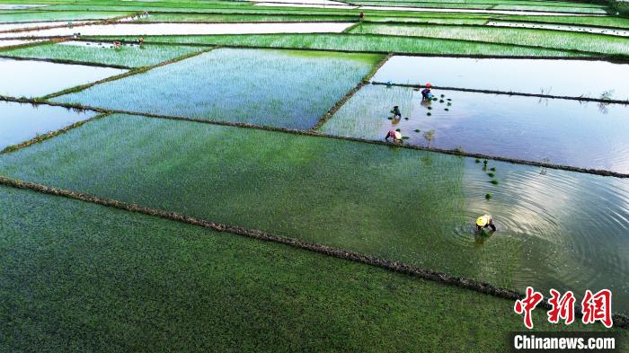 Summer scenery of countryside in S China’s Guangxi