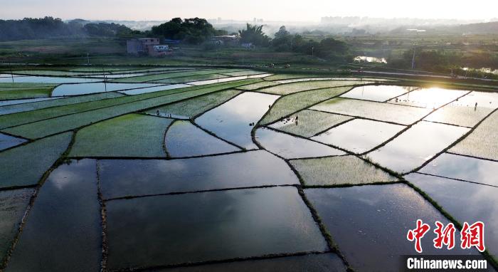 Summer scenery of countryside in S China’s Guangxi