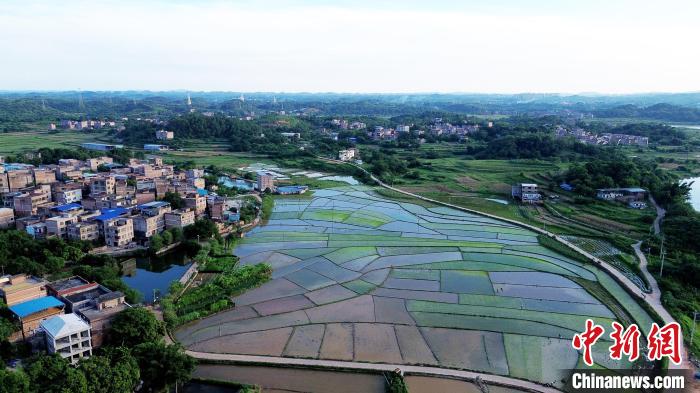 Summer scenery of countryside in S China’s Guangxi